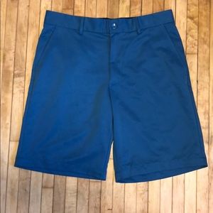🦈Greg Norman🦈 4 Tasso Ella Golf Shorts Aqua 32W